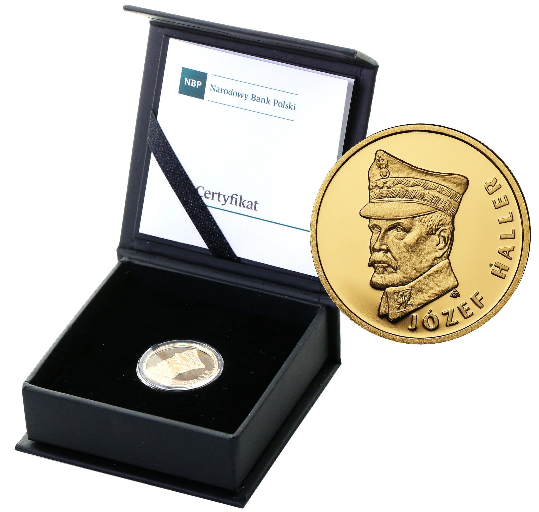 Polska. 100 złotych 2016 Józef Haller st.L